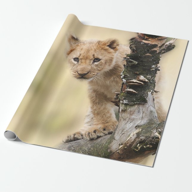 Cute Lion Cub in a Tree Wrapping Paper (Unrolled)
