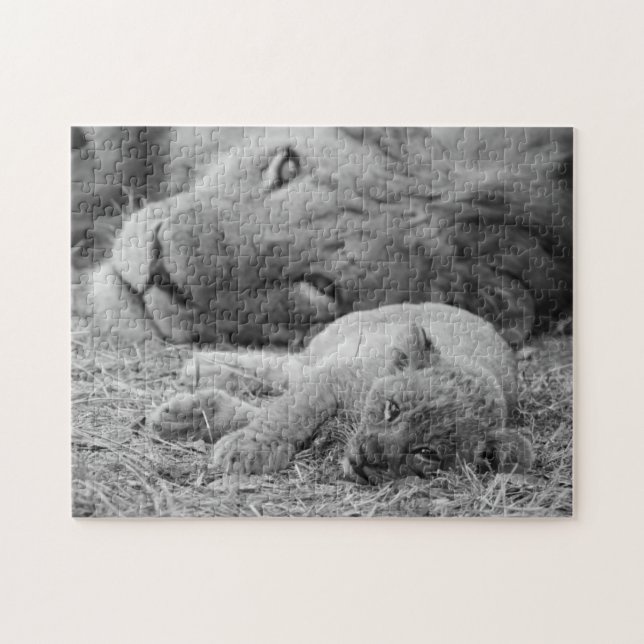 Cute Lion Cub Resting With Father Jigsaw Puzzle (Horizontal)