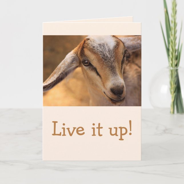 Cute Little Baby Goat Birthday Card (Front)