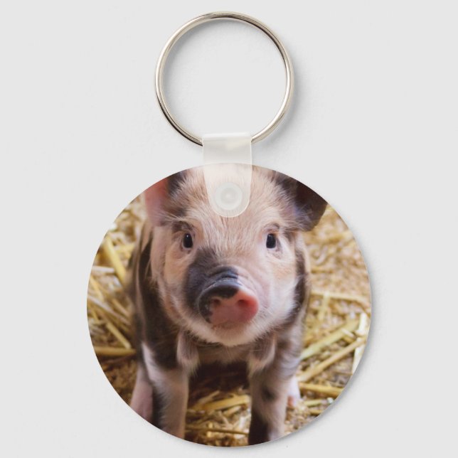 Cute little Baby Piglet Key Ring (Front)
