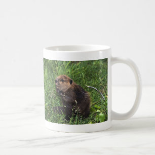 Cute Little Beaver Coffee Mug