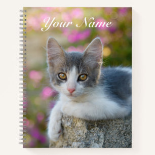 Cute Little Bicolor Kitten Fluffy Cat Photo - Name Notebook