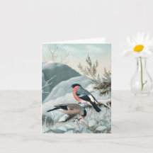 Cute little bird- Bullfinch, Art