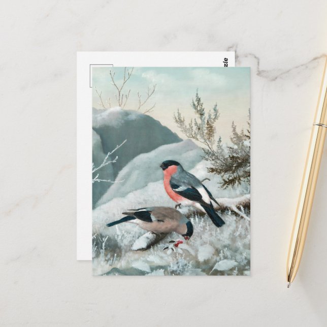 Cute little bird- Bullfinch, Art Postcard (Front/Back In Situ)