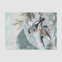 Cute little bird- Bullfinch, Art