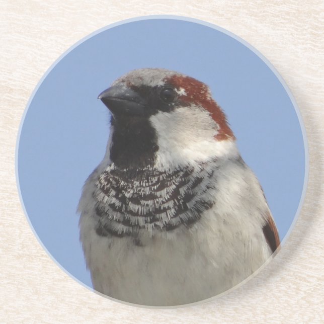 Cute little bird coaster (Front)