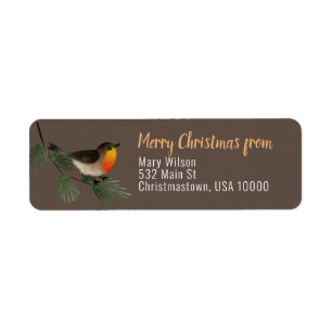 Cute Little Bird on Pine Branch, Brown, Christmas