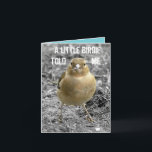 Cute Little Birdie Happy Birthday Customise Card<br><div class="desc">This cute little chaffinch was happy to pose and have his photo taken for this card! They live in the Leicestershire countryside.

All text on this card can be personalised,  suitable for a male or female of any age.</div>
