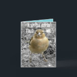 Cute Little Birdie Happy Birthday Customise Card<br><div class="desc">This cute little chaffinch was happy to pose and have his photo taken for this card! They live in the Leicestershire countryside.

All text on this card can be personalised,  suitable for a male or female of any age.</div>