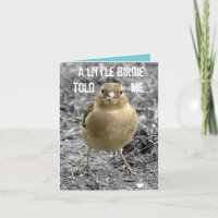 Cute Little Birdie Happy Birthday Customise