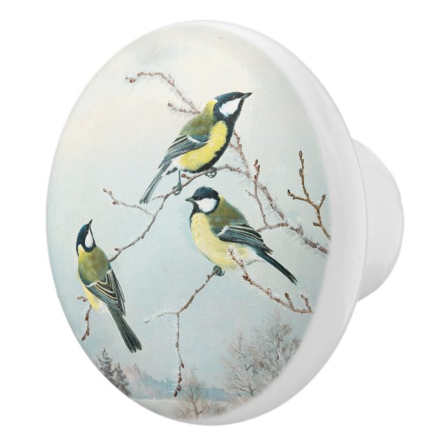 Cute little birds by Matti Karppanen, Birds Art Ceramic Knob (Right)