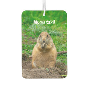 Cute Little Black-Tailed Prairie Dog Car Air Freshener