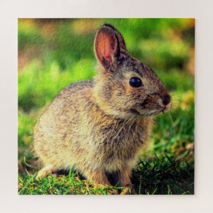 Cute Little Bunny - Sweet Jigsaw Puzzle