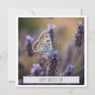 Cute little butterfly on lavender customisable