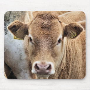 CUTE LITTLE CALF MOUSE MAT