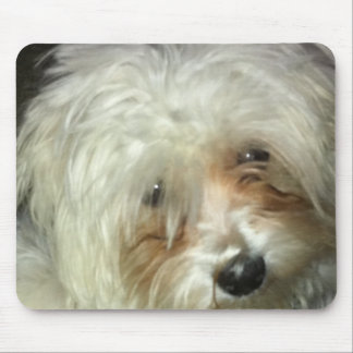 Cute Little Casper Mouse Mat
