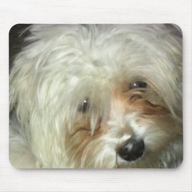Cute Little Casper Mouse Mat (Front)