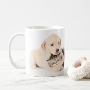 cute little cat sleeps in dog's hands coffee mug