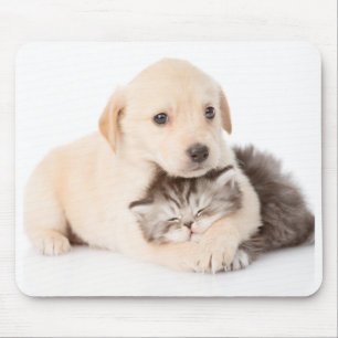 cute little cat sleeps in dog's hands mouse mat