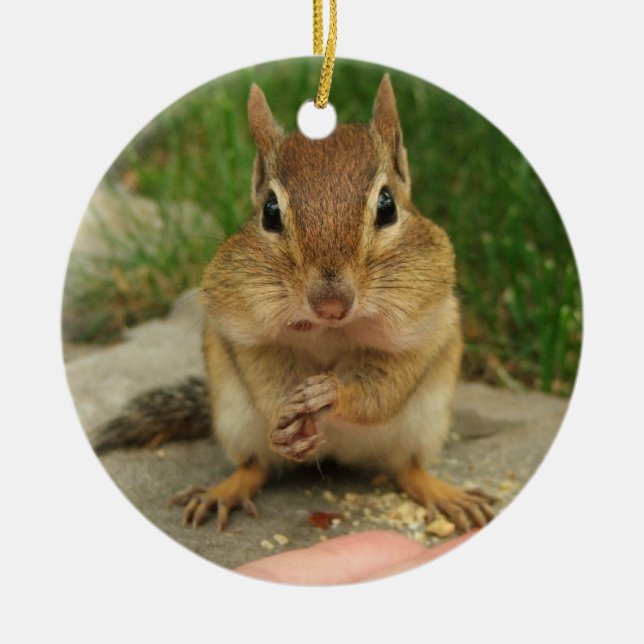 Cute Little Cheeky Chipmunk Ceramic Tree Decoration (Front)