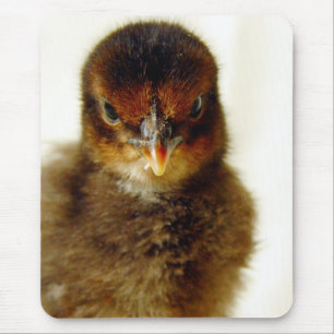 Cute Little Chick Mouse Mat