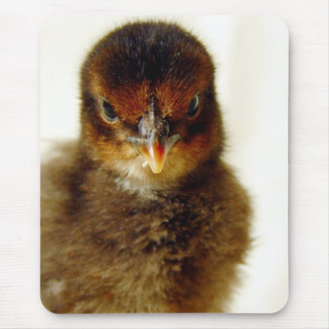 Cute Little Chick Mouse Mat (Front)