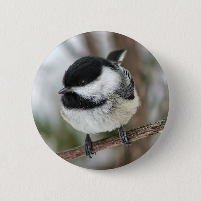 Cute Little Chickadee 6 Cm Round Badge (Front)
