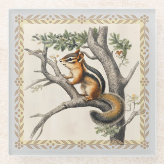 Cute little chipmunk vintage illustration glass coaster