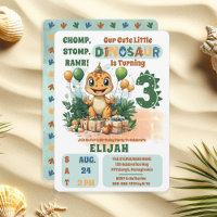 Cute Little Dinosaur Boy 3rd Birthday Party