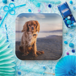 Cute Little Dog Paper Plate
