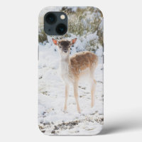 Cute little Fawn in the Winter Snow 1 #animal#art