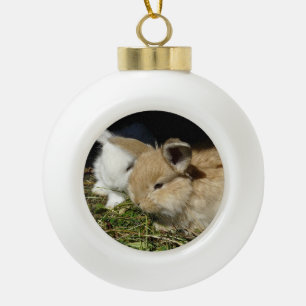 Cute little fluffy bunnies ceramic ball christmas ornament