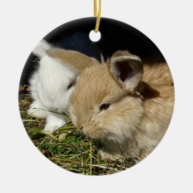 Cute little fluffy bunnies     ceramic tree decoration (Front)