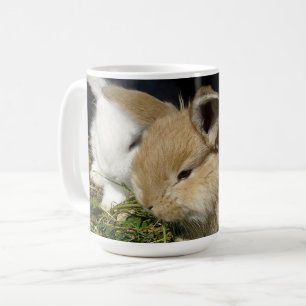 Cute little fluffy bunnies  coffee mug