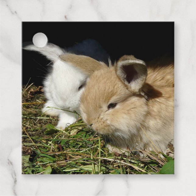 Cute little fluffy bunnies    favour tags (Front)