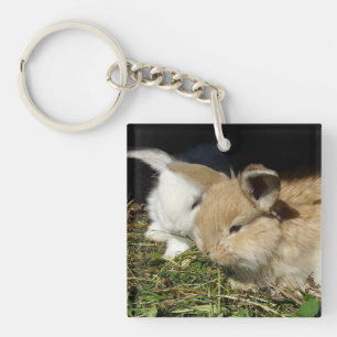 Cute little fluffy bunnies key ring