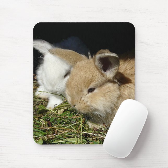 Cute little fluffy bunnies  mouse mat (With Mouse)