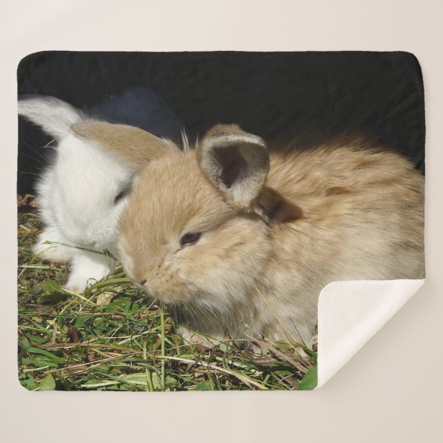 Cute little fluffy bunnies   sherpa blanket (Front (Horizontal))