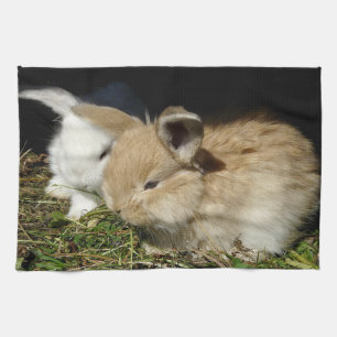 Cute little fluffy bunnies tea towel