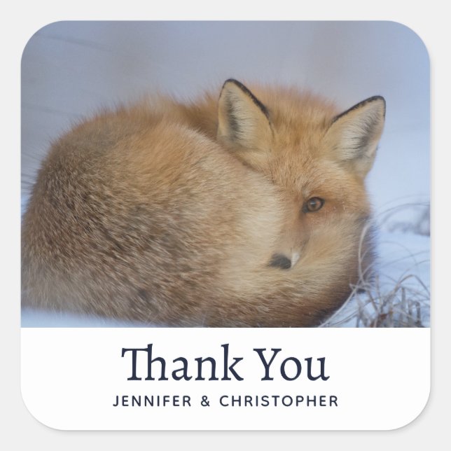 Cute Little Fox Curled Up Winter Photo Birthday Square Sticker (Front)