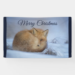 Cute Little Fox Curled Up Winter Photo Christmas Banner