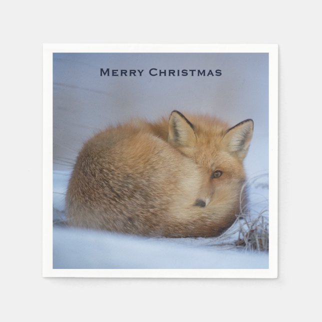 Cute Little Fox Curled Up Winter Photo Christmas Napkin (Front)