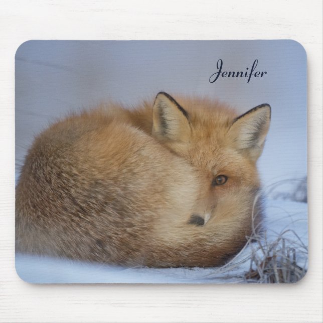 Cute Little Fox Curled Up Winter Photo Mouse Mat (Front)