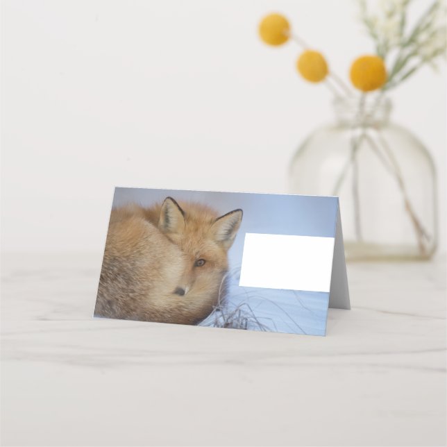 Cute Little Fox Curled Up Winter Photo Place Card (Front)