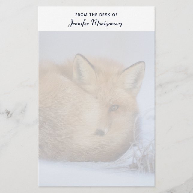 Cute Little Fox Curled Up Winter Photo Stationery (Front)