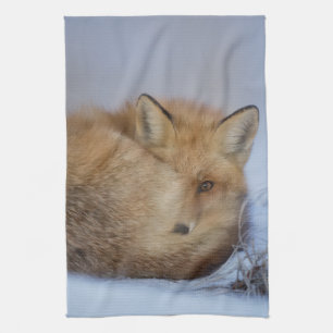 Cute Little Fox Curled Up Winter Photo Tea Towel