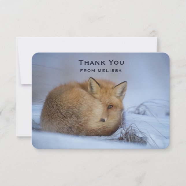 Cute Little Fox Curled Up Winter Photo Thank You (Front)