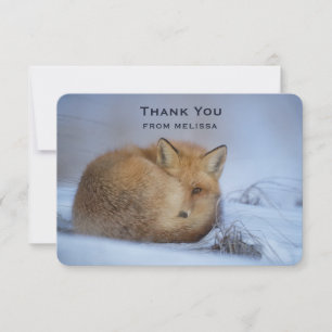 Cute Little Fox Curled Up Winter Photo Thank You Card