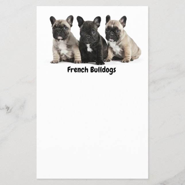 Cute little French Bulldogs Label Flyer (Front)