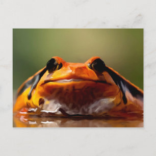 Cute Little Frog Amphibian Nature Postcard